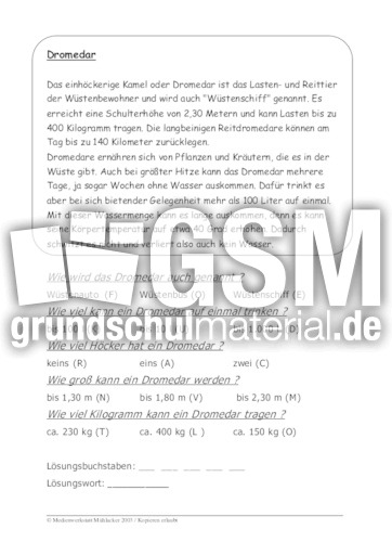 Dromedar.pdf